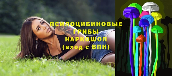 гидра Алзамай