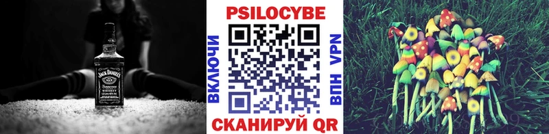 mega рабочий сайт  Кольчугино  Псилоцибиновые грибы Psilocybe 